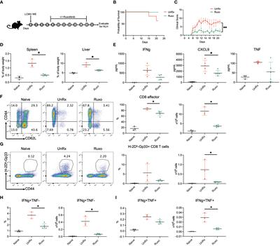 Cellular and transcriptional impacts of Janus kinase and/or IFN-gamma inhibition in a mouse model of primary hemophagocytic lymphohistiocytosis